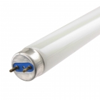Fluorescent Tubes