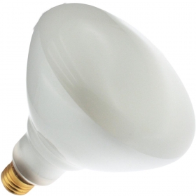 120BR40/SP 130V