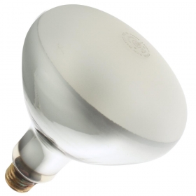 21A/R40/FL 12V