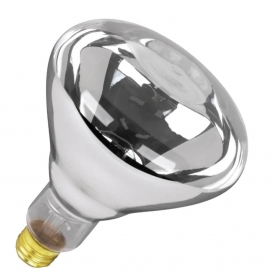 250R40/1 120V