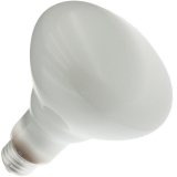 50BR30/FL 120V