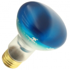 50R20/B 130V