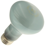 50R20/FL/N 120V