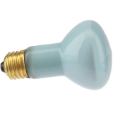 50R20/FL/N 120V