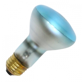 50R20/GRO 120V