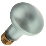 50R20/RL 120V