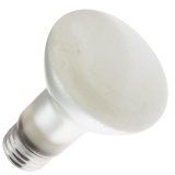 50R20/SW/1 120V