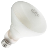 65BR30/FL 120V