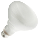 65BR30/FL55 120V