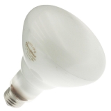 65BR30/FL55/LL 120V