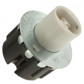 LEV 523