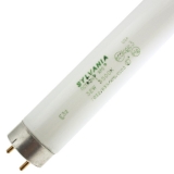 FO32/835/XPS/ECO