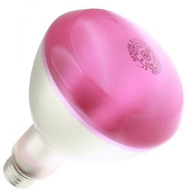 50ER30/TL-PK#3 120V