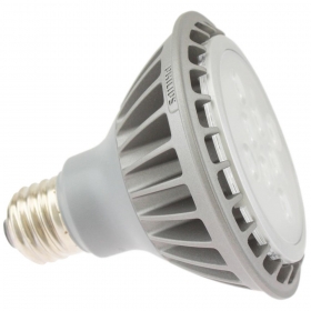 12PAR30S/END/F22/3000/DIM 120V