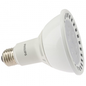 13PAR30L/END/F36/3000-700/DIM