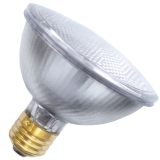 39PAR30/FL 120V