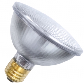 39PAR30/FL 120V