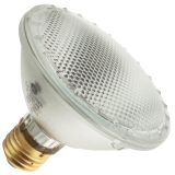 38PAR30/H/FL25 120V