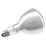 50ER30 120V